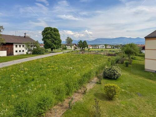 Ausblick - 