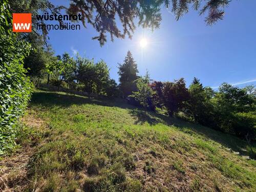 Gartenansicht - 
