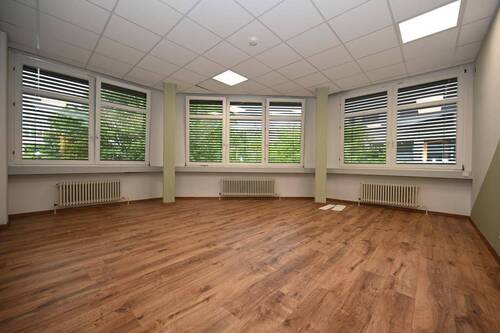 Das Großraum-Büro - 
