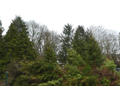 P1120252.JPG - Grundstück in Oststeinbek