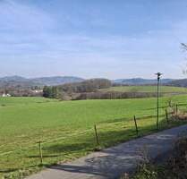 Wer das Besondere sucht, findet manchmal das Einzigartige - Weinheim Oberflockenbach