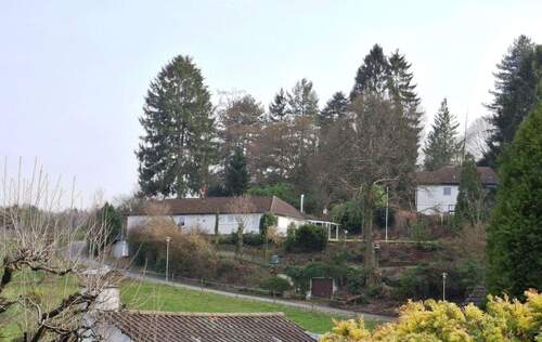 Gesamtansicht.jpg - Bungalow mit 160,00 m&sup2; in Weinheim zum Kaufen