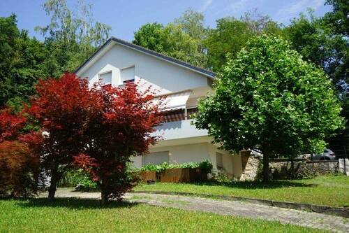 Bild 2 - Mehrfamilienhaus, Wohnhaus mit 225,00 m² in Grenzach-Wyhlen zum Kaufen