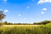 Ausblick - 