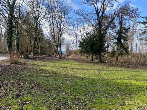 IMG_7985.jpeg - Einfamilienhaus mit 125,00 m&sup2; in Obertraubling zum Kaufen