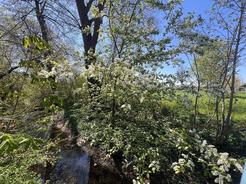 direkt am Reigersbach - 