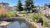 Pool - 