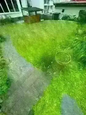 original (20).webp - 