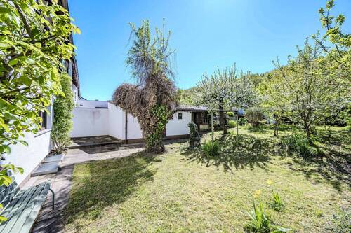 Blick in den Garten - 