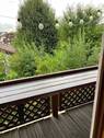Blick vom Balkon 2 - 