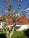 Bild 5 - 
