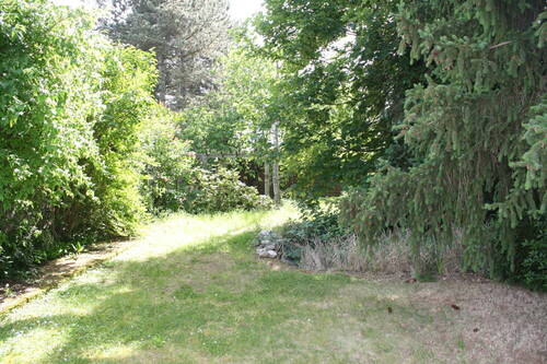 Blick in den Garten - 