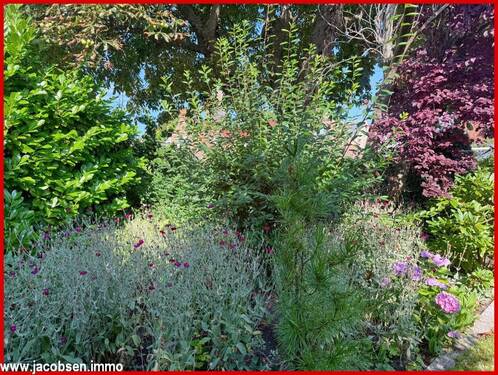 Hinterhaus Gartenimpressionen - 