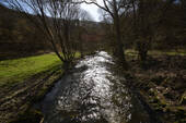 Dhron - 