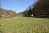 Wiese - 