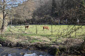 Lamaweide - 