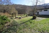 Wiese - 