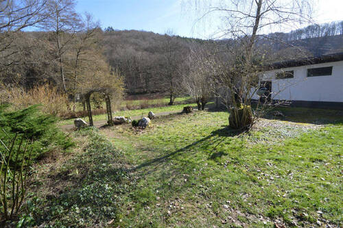 Wiese - 