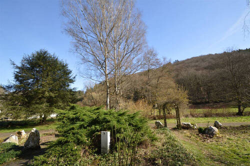 Wiese - 