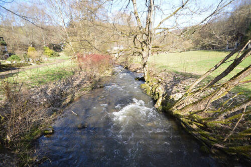 Bachlauf - 