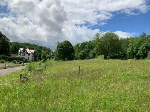 Ansicht - Grundstück zum Kaufen in Tiefenort