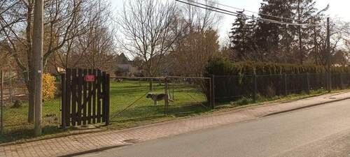 Grundstück Gartentor.jpg - 1 Zimmer Mehrfamilienhaus, Wohnhaus zum Kaufen in Balgstädt