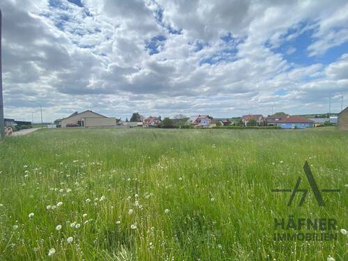 Hintergrund_Gilzem - Grundstück in Gilzem