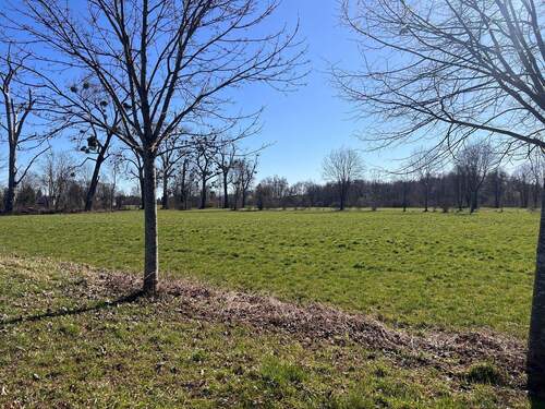 direkt am Blütenanger - 