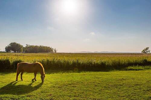 Umgebung von Sagard (Polchow) - 