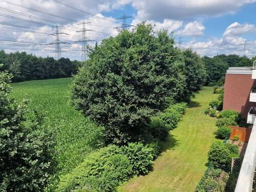 Ausblick - 