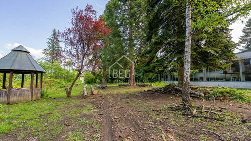 DSC07473 - 