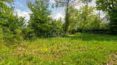 DSC07481 - 