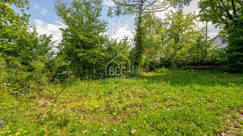 DSC07481 - 