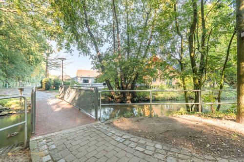 Bild 19 - 