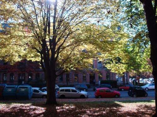 Ausblick - 