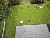 Garten (3) - 