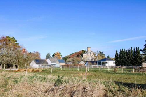 Blick auf die Burg - 