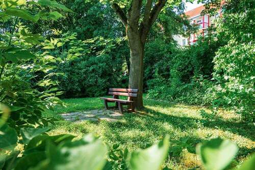 Ansicht 2 - 4 Zimmer Etagenwohnung in Zwickau