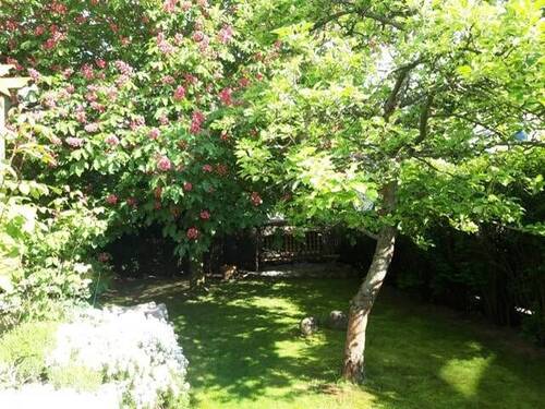 Gartenimpressionen - 