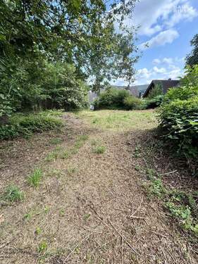 Ansicht 1 - Großzügig. Ruhig. Zukunftssicher. Baugrundstück in schöner Lage im Fischbachtal