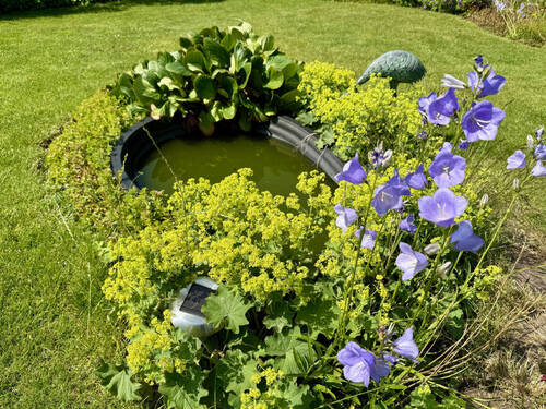 Bungalow Fröndenberg-Westick mit Garten - 