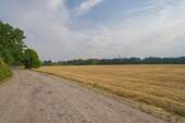 Nahbereich Feld - 