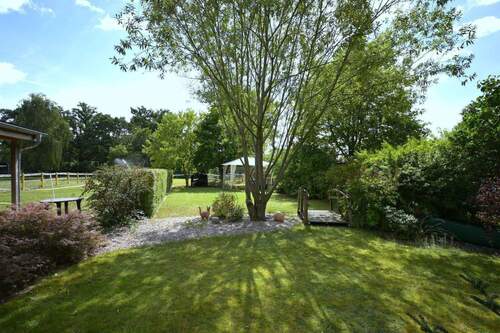 Blick in den hinteren Grundstücksbereich - 