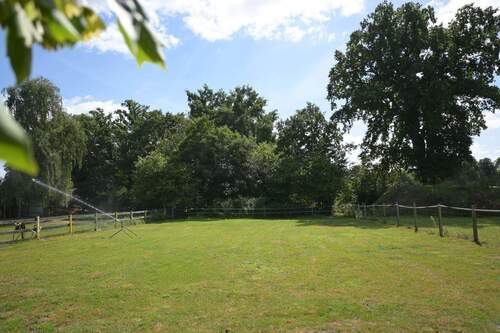 Wiese (aktuell von den Nachbarspferden genutzt) - 