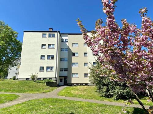 Gregorstraße 5 Vorderansicht (Eingangsbereich) eines Mehrfamilienhauses in grüner Umgebung - 4 Zimmer Etagenwohnung zur Miete in Fritzlar