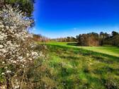 Naturblick - 