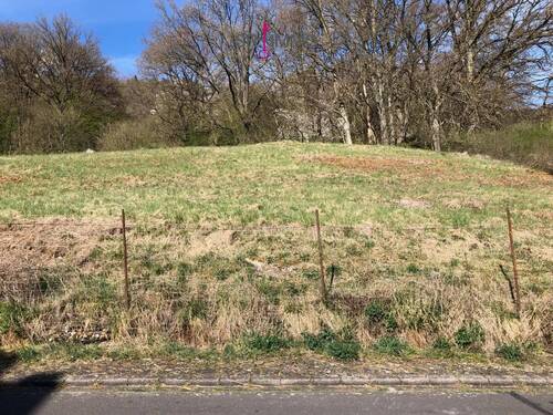 Bild 2 - Grundstück zum Kaufen in Bollendorf