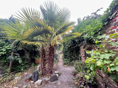 Detail Garten - Doppelhaushälfte mit 146,00 m² in Bottrop zum Kaufen