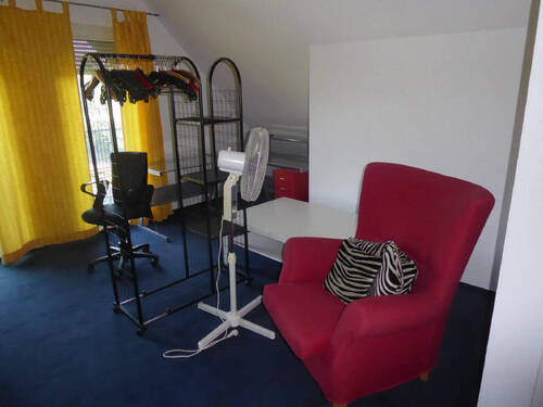 Bild8 - 