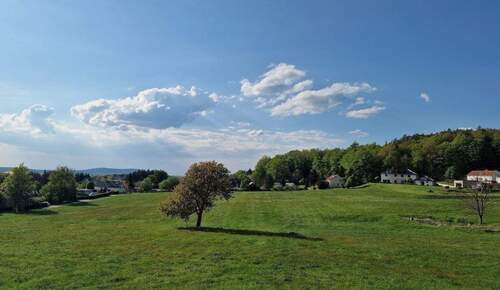 Blick vom Grundstück Richtung Keulenberg - Provisionsfreies Baugrundstück in Ohorn – zwischen Natur & Lebensqualität